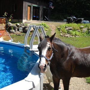 Meet your Posher, Terry